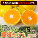 みかん 5kg 訳あり 極早生 送料無料 ブランド 愛媛県西...