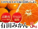 ♪先行予約大特価♪お試し用　最高級有田みかん5kg最高品質の有田みかん