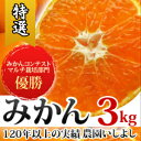 【創業120年農家直送】最高級有田みかん3kg 訳なし お試し価格 サイズ無選別 【送料無料】【ギフト対応不可】