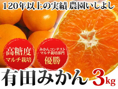 【送料無料】♪♪お試し特価♪♪最高級有田みかん3kg