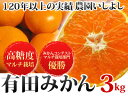 ♪♪おまかせ特価♪♪最高級有田みかん3kgもうすぐ“みかん”シーズン終了！お客様への感謝の気持ちで大特価！