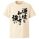 おもしろTシャツ 逆境を知る者は強い ギフト プレゼント 面白 メンズ 半袖 無地 漢字 雑貨 名言 パロディ 文字