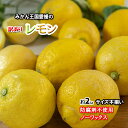 レモン 訳あり 愛媛県産 防腐剤不使用 ノーワックス 新物 ...