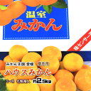 ハウスみかん みかん 贈答 御中元 ハウスミカン 温州みかん 愛媛県産 みかん 約2.5kg 化粧箱 送料無料