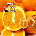 ネーブル 訳あり 箱買い 無農薬 ネーブルオレンジ オレンジ 愛媛県産 5kg 送料無料