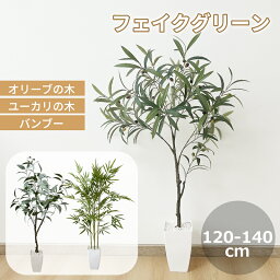 【4.27-4.28限定1000円OFFクーポン】フェイクグリーン オリーブの木 <strong>ユーカリの木</strong> 竹 120~140cm 果実 大型 鉢付き パーライト 観葉植物 フェイク人工観葉植物 人工観葉樹 おしゃれ 水やり不要 インテリア オフィス リビング 玄関 室内 引越し祝い プレゼント 光触媒