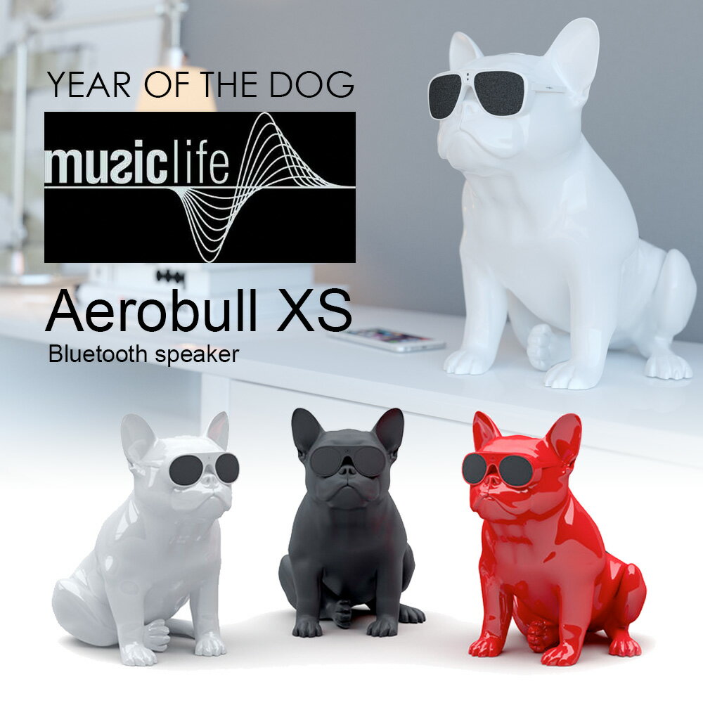 Music Life スピーカー AeroBull XS1 Bluetooth対応 ワイヤレススピーカー 10時間の連続再生 インテリアに最適【送料無料】