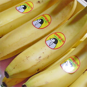 ★【最高級ペンギン印バナナ6本】フィリピンのアポ山で栽培された最高級高原栽培バナナ