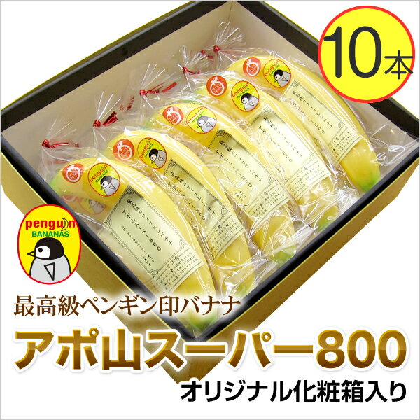 【最高級ペンギン印バナナ10本】フィリピンのアポ山で栽培された最高級高原栽培バナナ