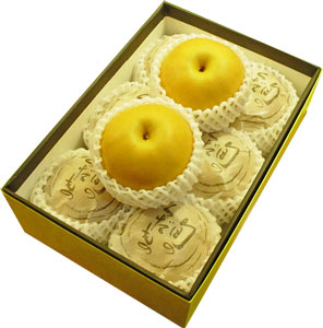 【信州飯田産 南水梨8個】赤系梨の最高峰 甘くてジューシー特大サイズを厳選してお届け!