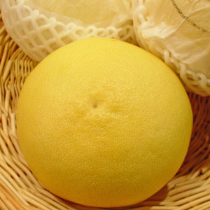 ڹθʸö2ġۥץåץβ֤䤫ʴŤں̾ʡʸöϤǤڤ߲