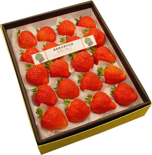 縩⻺⤤ۤޤ뤯Ƥ襤Ťƥ塼͵ȴΤ⤤ŹɽƤޤ