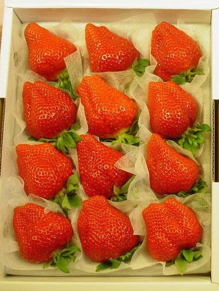 縩⻺⤤ۤޤ뤯Ƥ襤Ťƥ塼͵ȴΤ⤤ŹɽƤޤ