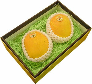 ԡޥ󥴡23Ⱦ奪ȥꥢΡŤƥȥԥʥԡޥ󥴡