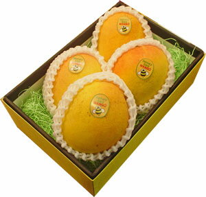 ԡޥ󥴡46Ⱦ奪ȥꥢΡŤƥȥԥʥԡޥ󥴡