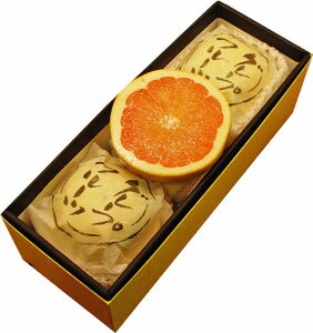 ڥեȾ٥ӡϥ졼ץե롼Ĺ3ۥեӤ̣ޤ