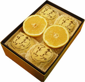 ڥեȾ٥ӡϥ졼ץե롼6ۥեӤ̣ޤ