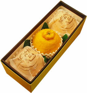 ǥݥ34ġϤ礭ŤƿٰפǥݥλϤ鸷