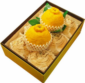 ǥݥ810ġϤ礭ŤƿٰפǥݥλϤ鸷