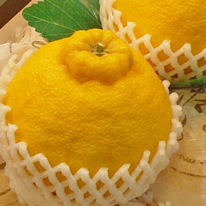 ǥݥ23ġϤ礭ŤƿٰפǥݥλϤ鸷