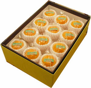 ڱߴϾγߤϺ24۰ɲȬȨͻޤݤƱߤϾγߤǤ