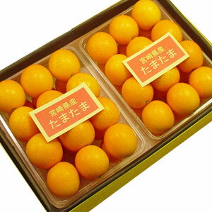 ޤޢڵܺ껺ǹ餭󤫤Ԥޤޡա1200g۲Ȥ彣Ǽ崰Ϥ̣󤫤Ǥ