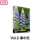 【BEST素材5,000シリーズvol.3 春の花】春に撮影した花を集めました。ちょっと身近な山や公園、庭や植物園などで見られる花です。