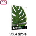 【BEST素材5,000シリーズvol.4 葉の形】葉の形と色の美しさをとらえた画像。すべて植物名称と撮影月を表示。