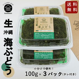 【生】海<strong>ぶどう</strong>たっぷり入って300g（100g×3パック）小分け 送料無料 酒の肴 赤字覚悟の為 1日数量限定 沖縄土産 沖縄料理 お取り寄せ おつまみ うみ<strong>ぶどう</strong> 海ブドウ 海藻 グリーンキャビア