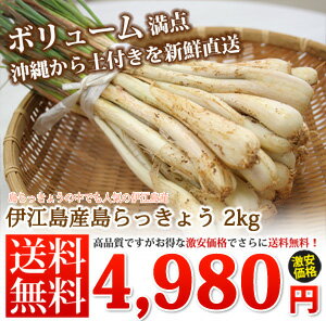ワケあり島らっきょう　土付き(約2kg)　当店では伊江島産島らっきょうをお届けしまうす。　沖縄の島らっきょう|島ラッキョウ