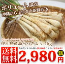 ワケあり島らっきょう 土付き(約1kg) 伊江島産島らっきょ...
