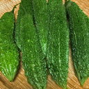 【沖縄産】ゴーヤー 約1kg (サイズ混載3〜5本)