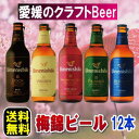 愛媛の地ビール　梅錦ビール12本送料無料【smtb-KD】クール便でお届けクラフトビール【楽ギフ_のし】