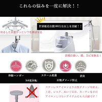 ハンガーにかけたまま【送料無料♪】【ポイント5倍!】フランスSALAVハンガースチームアイロンGS28-BJGS11-DJ
