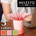 【直営】<BRUNO>パーソナルペーパー加湿器 GERBERA POT/ミレスト MILESTO/ブルーノ/卓上 エコロジー ミニ コンパクト デスク 保湿 インテリア 加湿器 プレゼント ギフト 【直営】<BRUNO>パーソナルペーパー加湿器 GERBERA POT/ミレスト MILESTO/ブルーノ/卓上 エコロジー ミニ コンパクト デスク 保湿 インテリア 加湿器 プレゼント ギフト