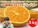 1/23(木)30セット再追加!【送料無料/たんか