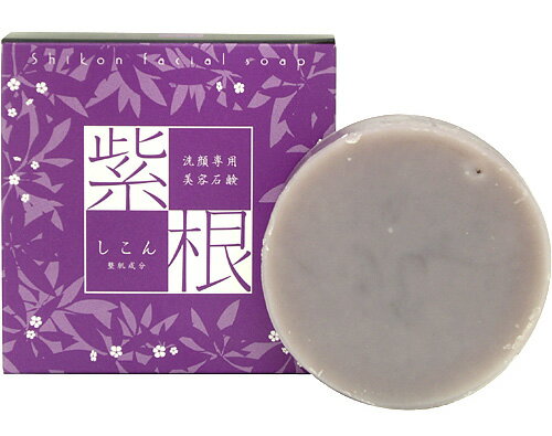 22Ǹ塢֥쥤Ρֻ纬ʤ˥۹ˤи22ǡۻ纬иʥ󤻤ä100g ͥåդ