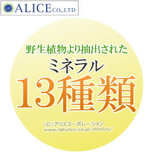 【送料無料】酵素と酵母のサプリメント（10包）6箱セット[プラスワン] {酵母と酵素 イースト 顆粒 } 30包入りよりお手頃な新価格 rsp