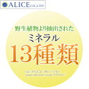 【送料無料】酵素と酵母のサプリメント（10包）6箱セット[プラスワン] {酵母と酵素 イースト 顆粒 } 30包入りよりお手頃な新価格 rsp