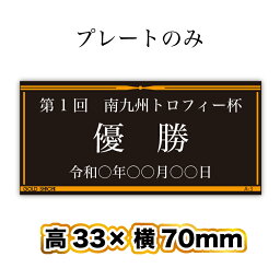 <strong>プレート</strong>のみ 黒<strong>プレート</strong>白銀文字★既製アルミ<strong>プレート</strong>A-3・長方形(高33×横70mm)【レーザー彫刻】【メール便対応】 表彰 <strong>トロフィー</strong> 優勝 カップ メダル 再利用 交換 ネーム<strong>プレート</strong> 銘鈑 銘板 名入れ その他使い方はいろいろ
