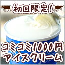 ★初回限定★1,000円コミコミ！おためし［南ヶ丘牧場のアイスクリーム］ギフト不可（480ml）バニラ南ヶ丘牧場のアイスクリーム南ヶ丘牧場の味をおためしくださいませ！