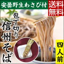 年越しそば【送料無料】信州生そば 4人前 本生わさび つゆ付...