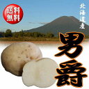 北海道産 じゃがいも「だんしゃく」 Lサ...
