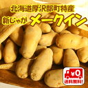 【送料無料】北海道厚沢部町産「新じゃがメークイン」(2L〜3Lサイズ)10kg