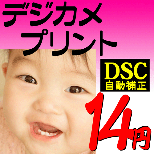 デジカメプリント【送料無料】【ポイント10倍】DSCサイズ自動補正仕上げ 写真現像 写真プリント デ...:minamiya-shop:10000077