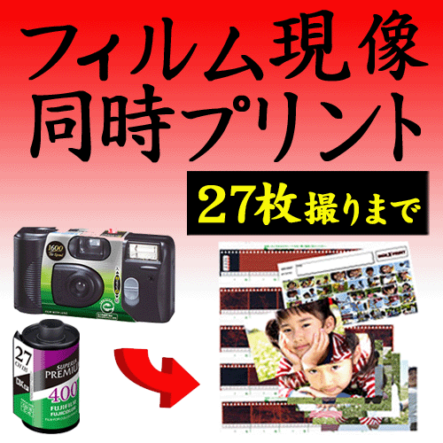 【送料無料】【ポイント10倍】カラー フィルム現像+写真プリント Lサイズプロ仕上げ 各1…...:minamiya-shop:10000174