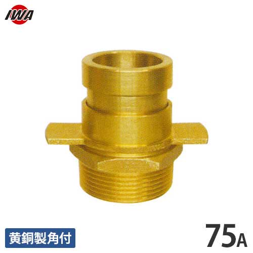 岩崎製作所 町野オス×ガスネジオス C103 75mm/黄銅製角付 36CT075A