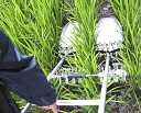 【送料無料】タイショーアルミ製手押し除草機AW-70