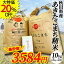 「【20％OFF中！】秋田県産 あきたこまち 精米10kg（5kg×2袋）令和3年産【古代米プレゼント付き】」を見る
