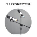 マイクスタンド ストレート マイク2つ使用可能 収納ケース付き ピアノ ギター